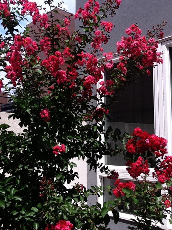 South Bridge Bed And Breakfast Filadélfia Exterior foto